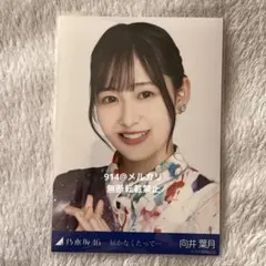 2026年最新】向井葉月 生写真の人気アイテム - メルカリ