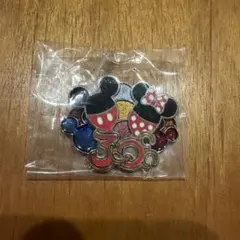 限定品]東京ディズニーリゾート 30周年バッジ - メルカリ