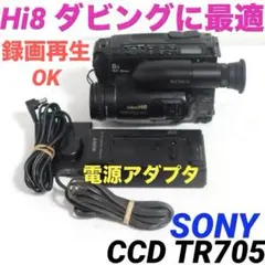 2025年最新】SONY Hi8 CCD-TR705の人気アイテム - メルカリ