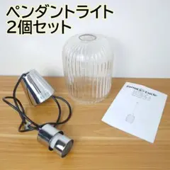 2個セット ペンダントライト ダクトレール 照明 ガラス 吊り下げ 間接照明