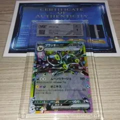 ポケモンカード ブラッキーex 446/742