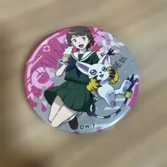 八神ヒカリ テイルモン 缶バッジ デジモンアドベンチャー tri.