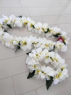 フラダンス　プルメリアレイ・ポー　セット