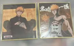 ブリーチ　bleach 黒崎一護　色紙　2点