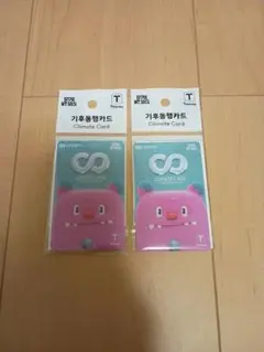 韓国 気候同行カード 2枚セット 交通カード ソウル