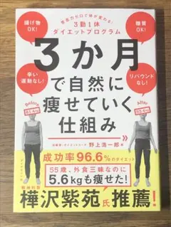 A3か月で自然に痩せていく仕組み : 意志力ゼロで体が変わる!3勤1休ダイエット