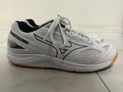 Item thumbnail for item e7ababb2-0777-4cb6-a443-ef18e247bd68