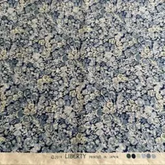 チェックアンドストライプ限定リバティチャイブ　ブルー系　約2メートル　はぎれ