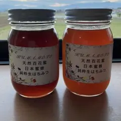 ハチミツ　日本蜜蜂の蜂蜜 非加熱無添加　純粋生蜂蜜(560g２本)のサムネイル