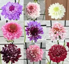 なごみ様 リクエスト 3点 まとめ商品