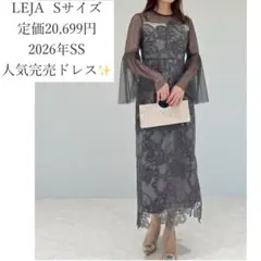LEJA シアー 刺繍ドレスグレー - メルカリ
