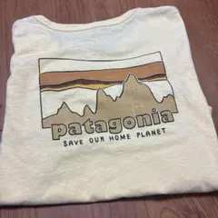 Patagonia Tee レディース　Mサイズ Tシャツのサムネイル