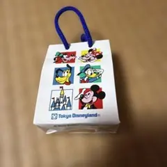 東京ディズニーランド オルゴール 本体