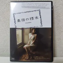 イサオ様 リクエスト 2点 まとめ商品