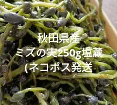 秋田県産ミズの実250g塩蔵☆ ネコポス発送