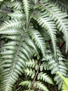 Mikimiki様 リクエスト 2点 まとめ商品