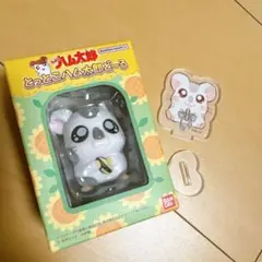 ハム太郎 こうしくん どーる アクリルスタンド
