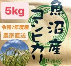2026年最新】魚沼産コシヒカリの人気アイテム - メルカリ