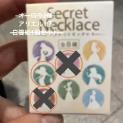 ディズニープリンセスシークレットネックレス