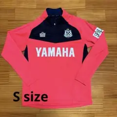 Item thumbnail for item 4acfcfd8-0fe1-4f21-9d8c-f3f33bafcee5