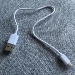 Item thumbnail for item bdcab31b-f6f8-4020-a0ad-ae4639dfa001