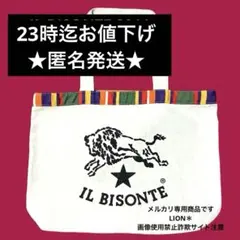 IL BISONTEイルビゾンテムック本付録　トート　キャンバス
