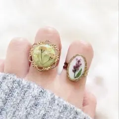 ピンク×グリーン　ゴールド　ドライフラワーリング　2つセット