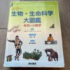 Item thumbnail for item c198813c-e618-4924-b421-c18e5b1de846