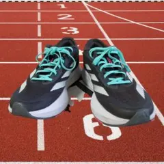 Item thumbnail for item 32c7a211-1d9e-4d4c-94e6-e62a9c713236