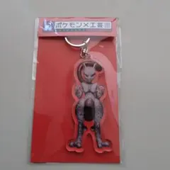 ミュウツー　アクキー　ポケットモンスター　工芸展