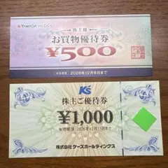 ポイント消化に‼️】ケーズデンキ株主ご優待券 1000円券＋オマケ