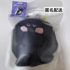 RIIZE ウォンビン Fanlight Cape 新品 未開封