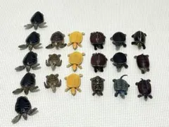 2026年最新】亀ガチャの人気アイテム - メルカリ