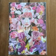 マクロスF ギャラクシーライブ ファイナル 2025 特典セット - メルカリ