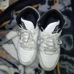 Item thumbnail for item 13f2b28f-1aec-4e84-9b7b-2ecbbd47495a