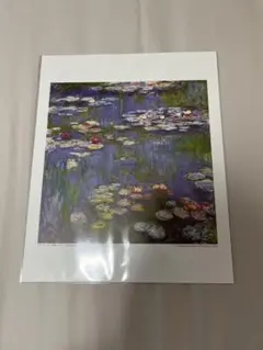 Claude Monet 国立西洋美術館 クリアファイル クロードモネ 睡蓮