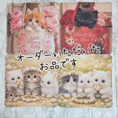 当選品 蔦町ちとせ 等身大パネル あざらしそふとオンリーショップ 当選品 蔦町ちとせ 等身大パネル あざらしそふとオンリーショップ