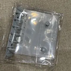 Item thumbnail for item ef7a7069-883f-4d97-90a8-abda00cc054c