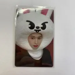 StrayKids スキズ maxident JYPSHOP SKZOO