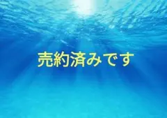 春夏秋OK37サイズステラマッカートニー厚底エリスサンダル　ベージュのサムネイル