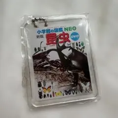 非売品　小学館の図鑑NEO 購入特典　キーホルダー