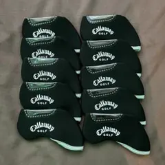 Item thumbnail for item b8ded670-bca9-44b8-823b-63fe03b2d368