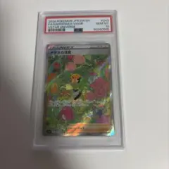 ナタネの活気 sr psa10