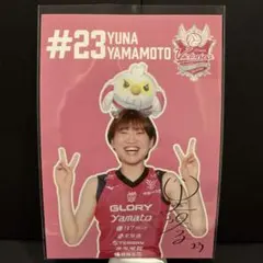 2026年最新】山本彩 クリアファイル ミズノの人気アイテム - メルカリ