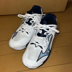 Item thumbnail for item 7b34f115-18b7-419c-9133-6294130d978b