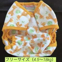 Item thumbnail for item c32bb715-dcb0-4ec6-81ab-bc8c07a60758