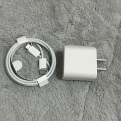 USB-C ホワイト充電器