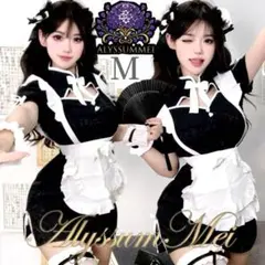 DimMoire 融ける夢の約束スイムウェア 水着 ビキニ 新品タグ付き