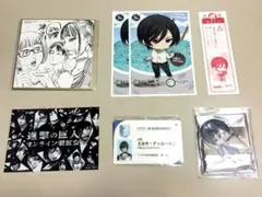 【写真2枚あり】進撃の巨人 ミカサセット