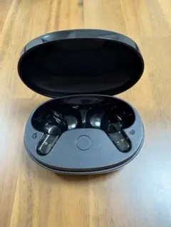 Anker Soundcore Life P2 Mini イヤホンケースのみ
